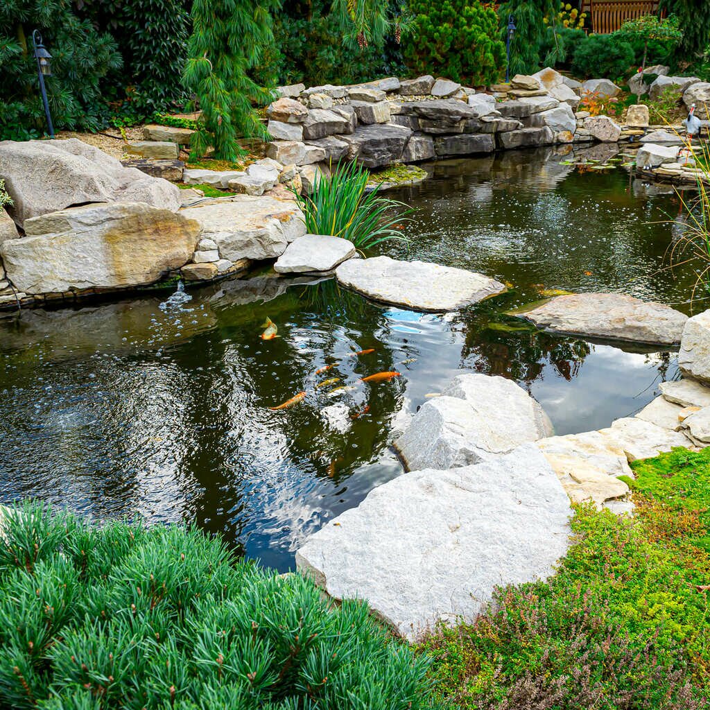 garden aquarium design