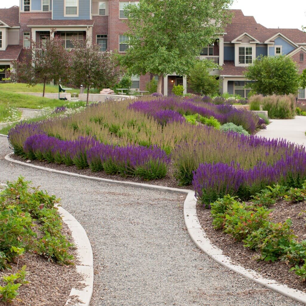 small-garden-stapleton-neighborhood-colorado